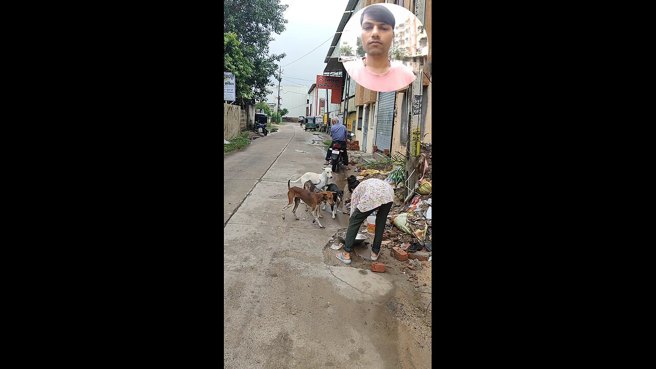 jivdaya mehsana suvichar jain stavan jain suvichar #music #song #live #devotional