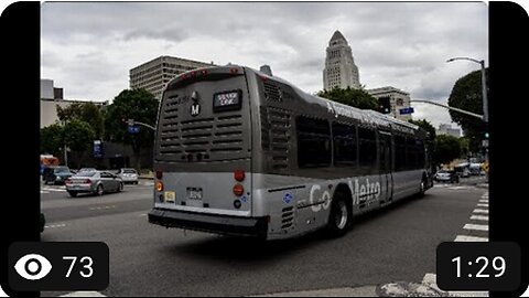 Los Angeles Metro NABI CompoBus Metro 45C CNG (Model 45CLFW.05) #8396