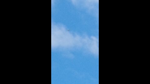 dracs spying on human Americans