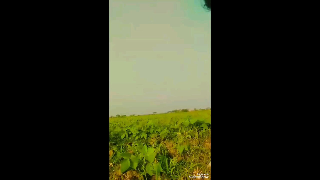 Bhaiya bhaiya please Hamari video ko like kar do😂