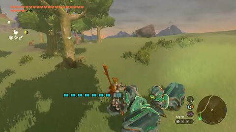 Zelda tears of the kingdom. Builds
