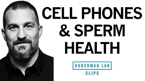 "How Cell Phones & EMFs Impact Sperm Health & Testosterone, Dr. Andrew Huberman 2023"