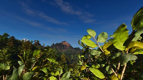Checking out Unreal Engine 5.5 Update. [Ark: Survival Ascended][Single Player]