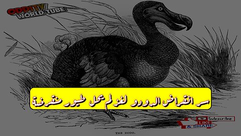 سر انقراض الدودو ❓ لغز لم يحلّ! طيور منقرضة #الدودو #حيوانات_منقرضة #تاريخ