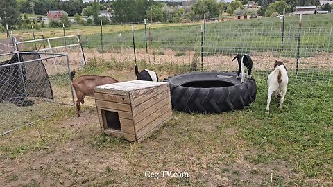 Graham Family Farm NW: 10:30 AM June 21 2025