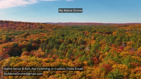 Maine B-Roll (No Sound): Fall Foliage at Lily Pond in New Gloucester, Maine Video 25