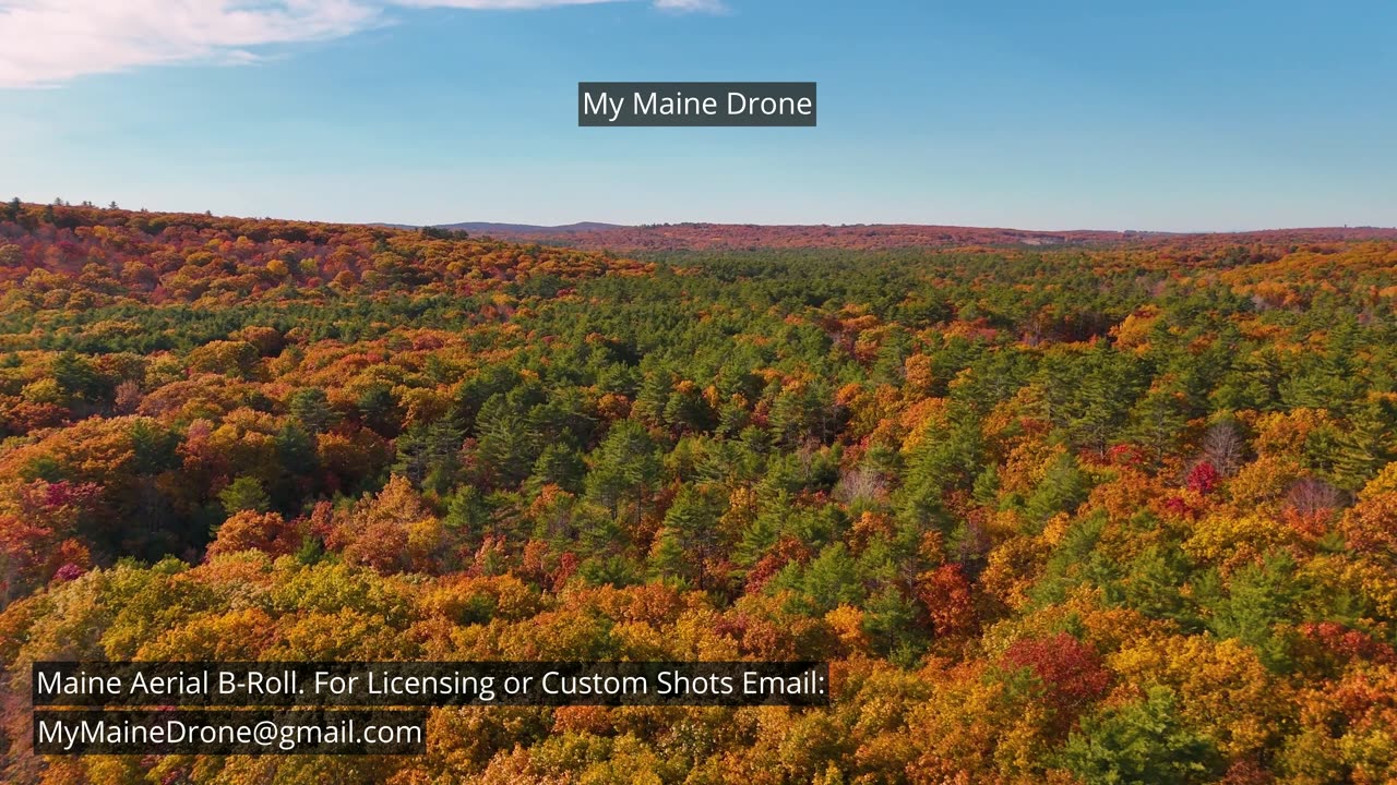 Maine B-Roll (No Sound): Fall Foliage at Lily Pond in New Gloucester, Maine Video 25