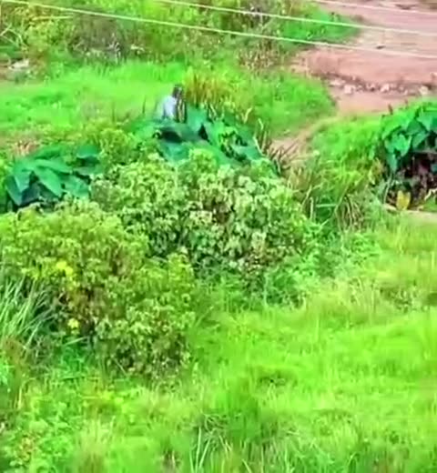 Spend the moment with your girlfriend coming back to see your kids coming.