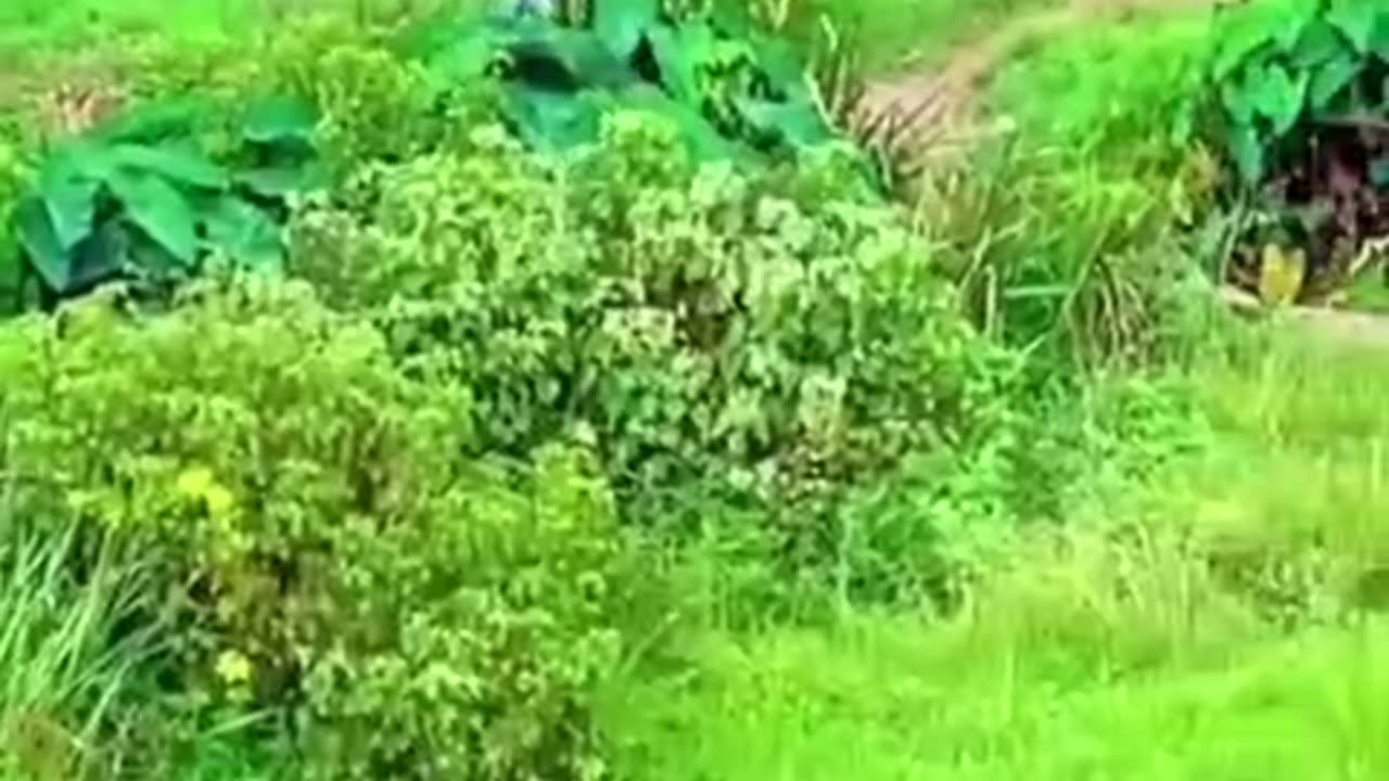 Spend the moment with your girlfriend coming back to see your kids coming.