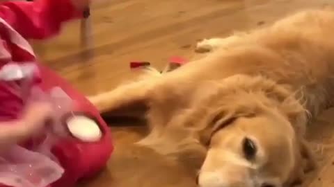 Fun Animals