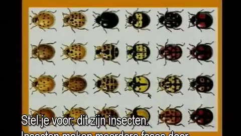 5.De genen van genesis Het Genesis conflict - Walter Veith (58)