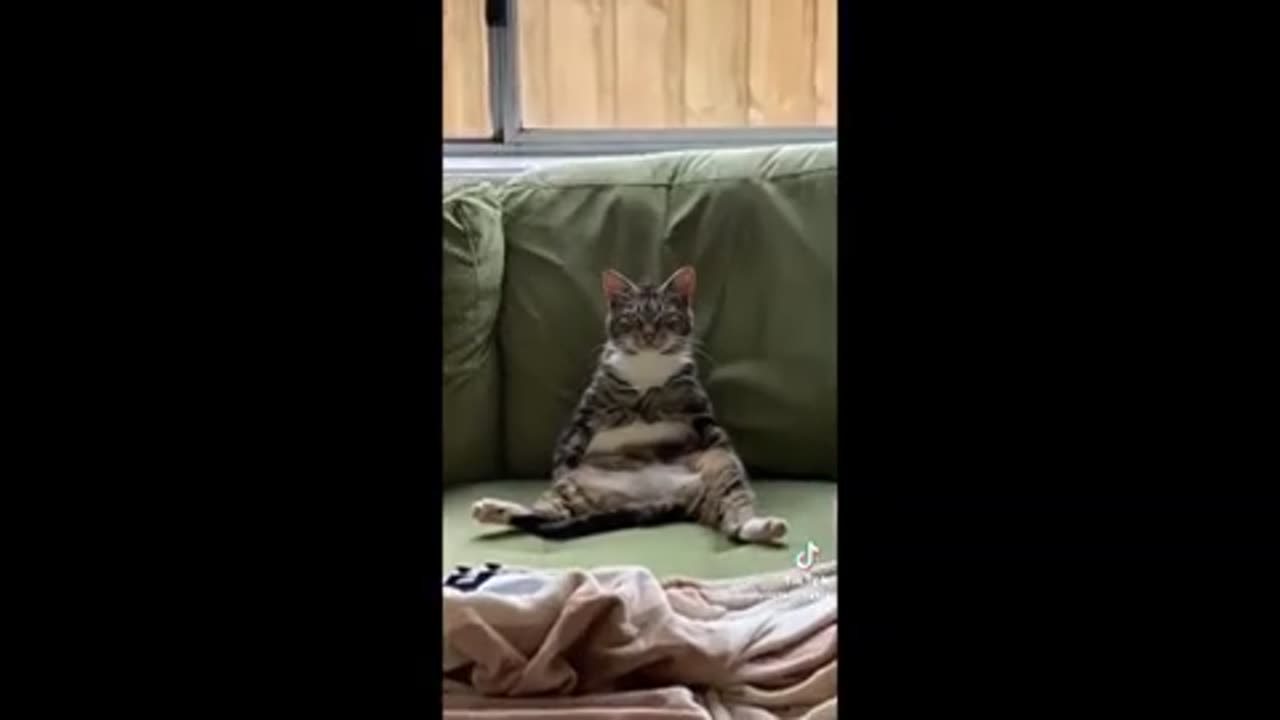 Need a laugh here and there ..