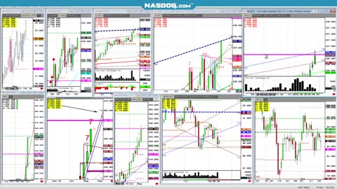 AUG20- Cattle Oct 23535 sell w 50c risk stop? Day trade idea only