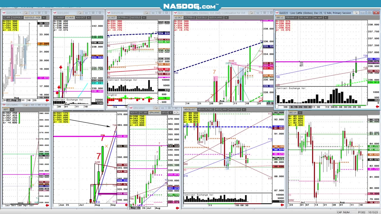 AUG20- Cattle Oct 23535 sell w 50c risk stop? Day trade idea only
