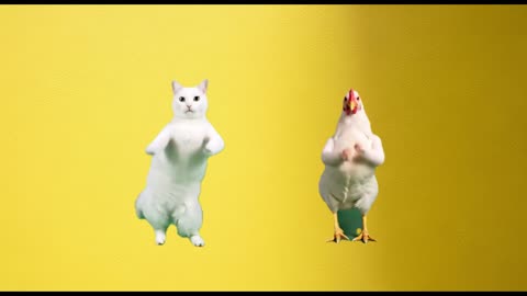 White cat saves Mama chicks І Don't see the ending