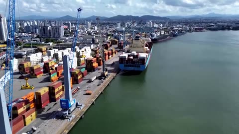 Bird flu in top chicken exporter Brazil triggers trade bans