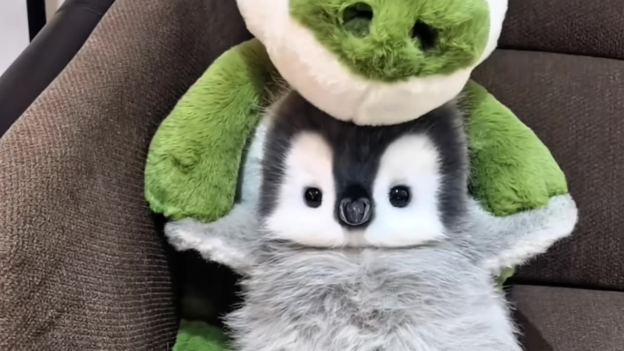 cute little penguin eating ice cream #cute #adorable #pet #penguin #babyanimals #fluffy #cuteanimal