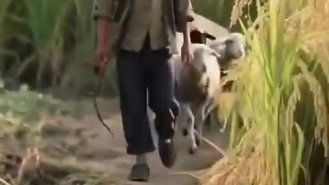 Bachpan sy Byrhapy tak ki zindagi
