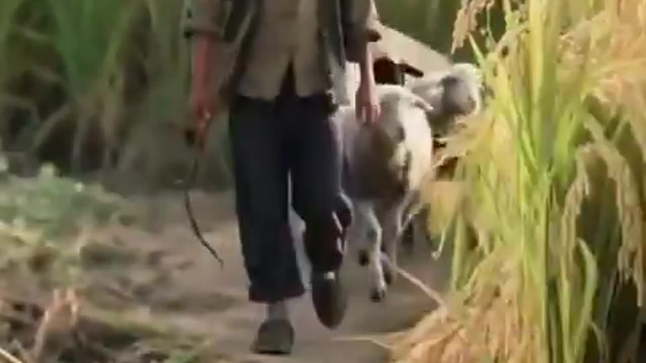 Bachpan sy Byrhapy tak ki zindagi