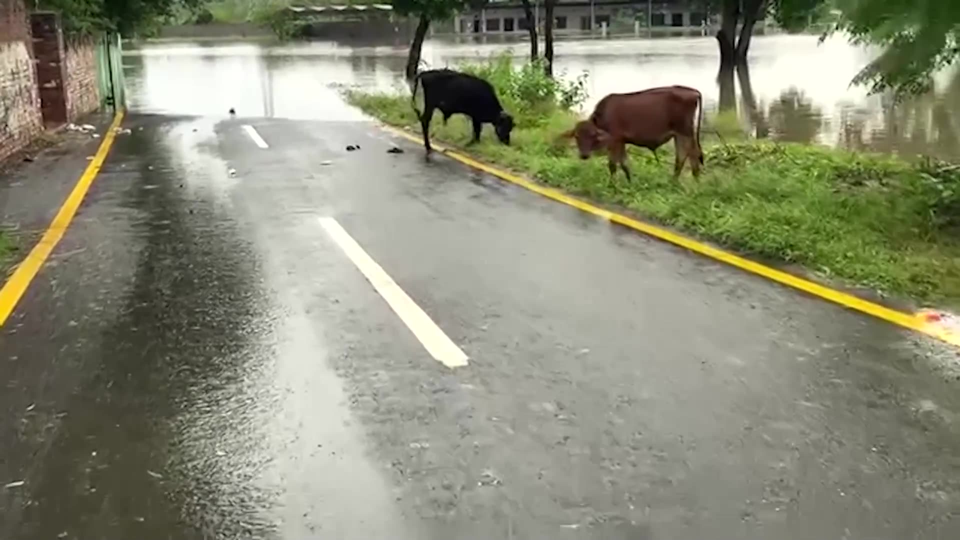 Pakistan authorities say 1.5 million affected by floods