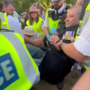 British police arrest disabled veteran