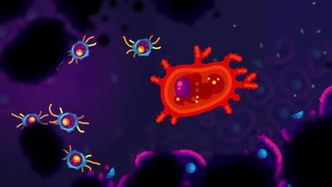 How The Immune System ACTUALLY Works – IMMUNE