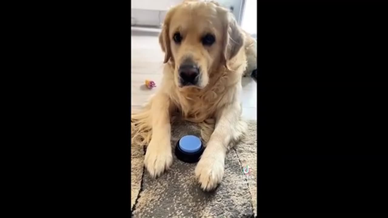 Need a Laugh here and there ;)