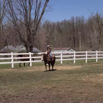 Outside practicing with a stubborn mare!