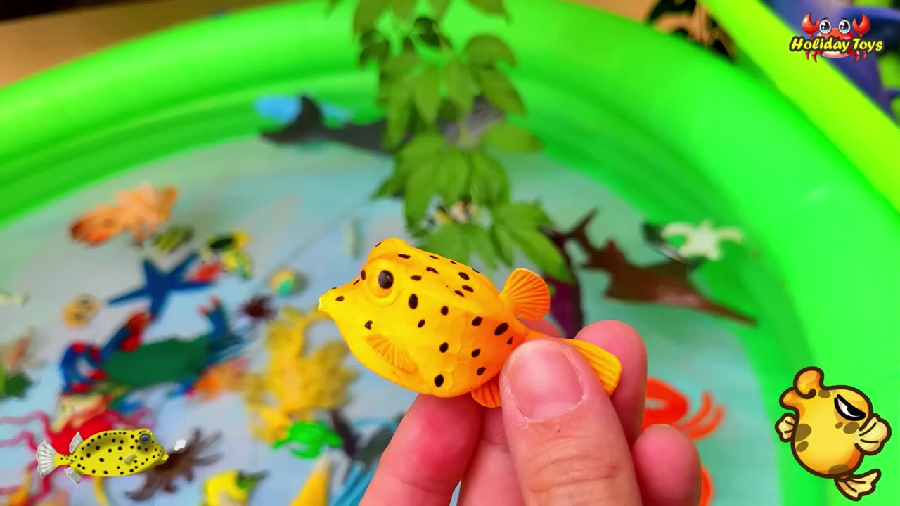 Fishing for Crabs Using Meat and Bread at River