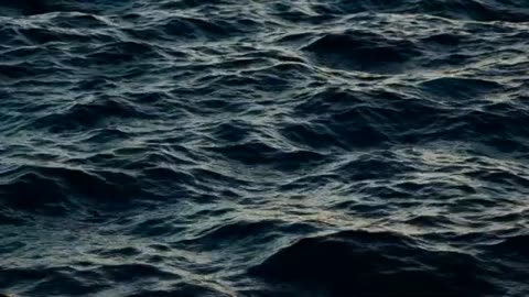 What Noahs Flood was Not Part 2 : Peter J. Peters