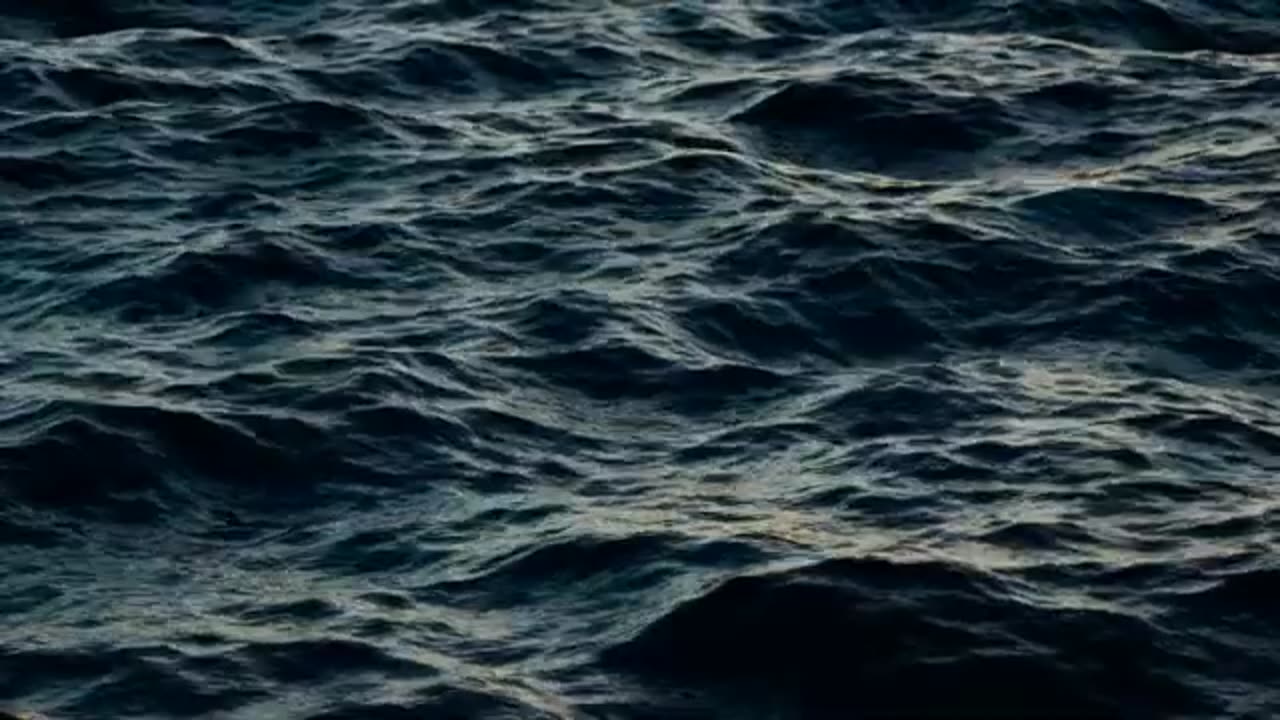 What Noahs Flood was Not Part 2 : Peter J. Peters