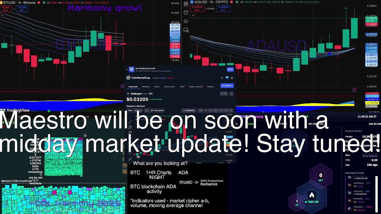 Charts and Chains watch LIVE 24/7 - educational chart and chain watch - BTC - ADA - NIGHT