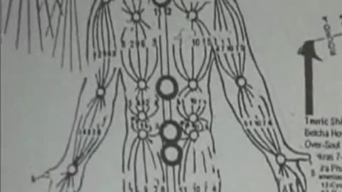 Kathara-DNA-Activation-awakening-the-living-Lotus Level 2 Part 2 of12