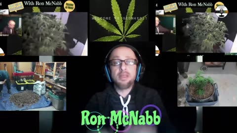 Grow 420 Today