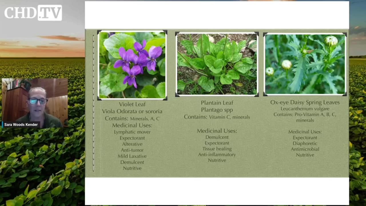 Wild Foraging Essentials — Sara Woods Kender