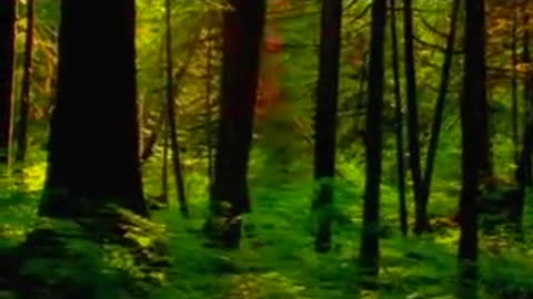 g. edward griffin the dangerous servant a discourse on government