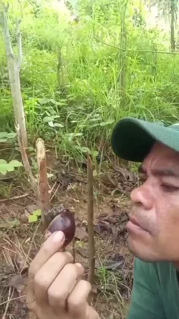 ive Larva Challenge? This Clip Is Breaking the Internet