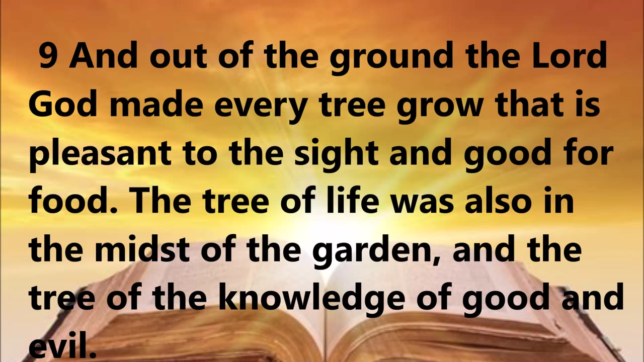 Life in God’s Garden