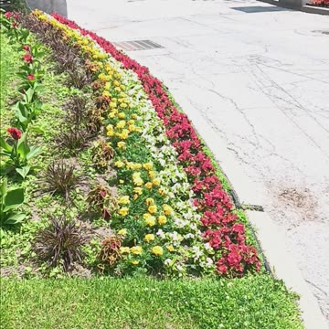 Historic congress park.