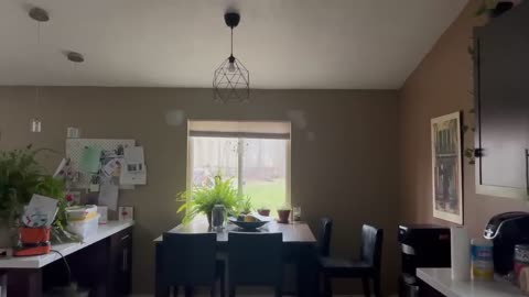 ＊LAST MINUTE＊ KITCHEN MAKEOVER UNDER $100! ｜ HOW TO THRIFT AND STYLE YOUR KITCHEN ON A BUDGET!