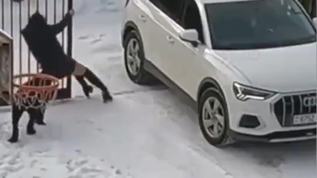 Wouldn’t driving away be faster?