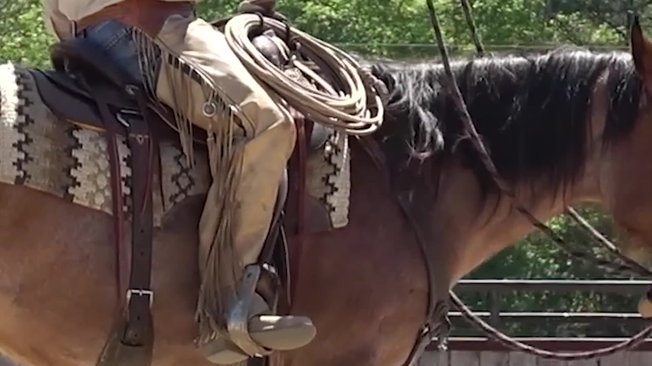 How to Neck Rein.