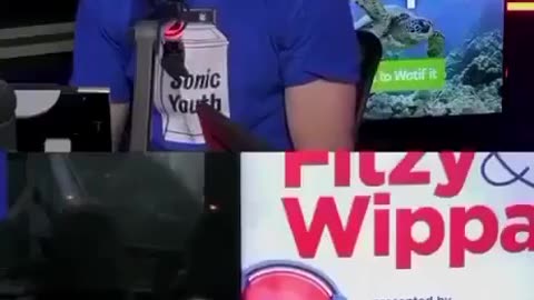 Meaning of the button