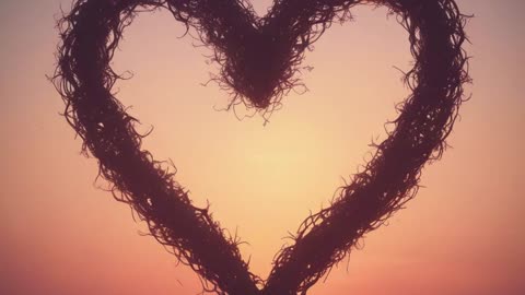 One Soul, Two Hearts