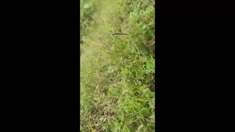 🌳🇲🇲 Myanmar War | Local PDFs Attack Junta Troops Near Zeetaw | RCF