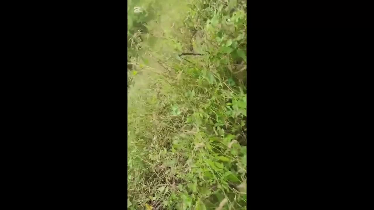 🌳🇲🇲 Myanmar War | Local PDFs Attack Junta Troops Near Zeetaw | RCF