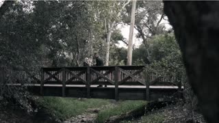 Plandemic 1 - Official Movie
