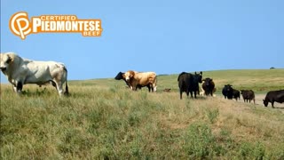 Trent Loos in the Morning - 9/25/2025