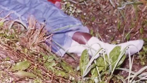 Killing Spree Lasting Nine Years Reveals At Least 23 Murders A Killer's Mistake @RealCrime