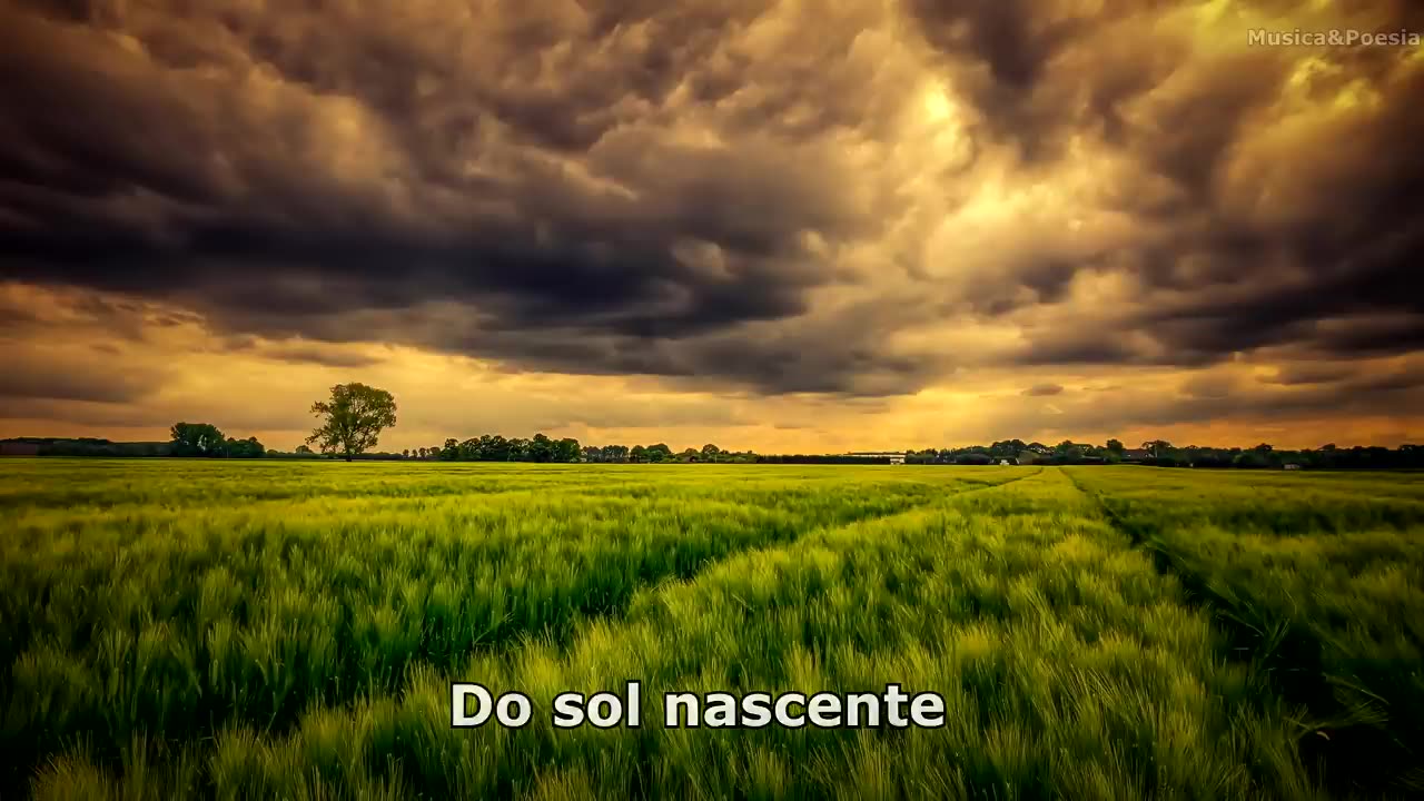 New Order - True Faith Lyrics